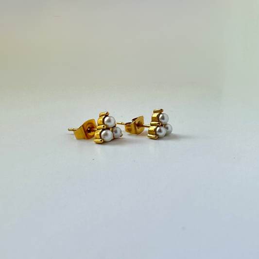Dainty Stainless Steel Studs